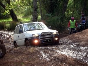 [PICT6843red[1].jpg]